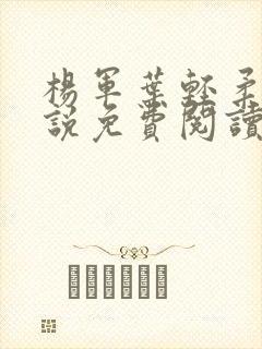 杨军叶轻柔的小说免费阅读无弹窗