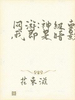 网游:神级刺客,我即是暗影漫画