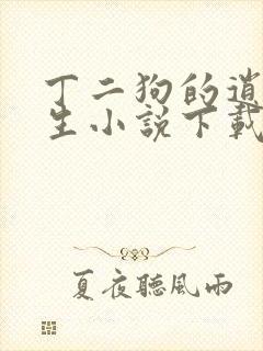 丁二狗的逍遥人生小说下载封面