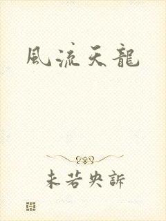 风流天龙封面
