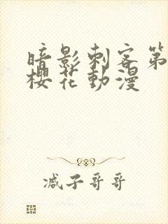 暗影刺客第4季樱花动漫