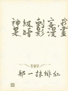 神级刺客,我即是暗影漫画