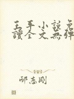 王平小说免费阅读全文无弹窗