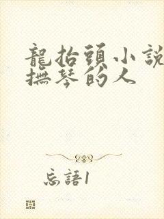 龙抬头小说免费抚琴的人封面