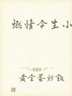 燃情今生小说