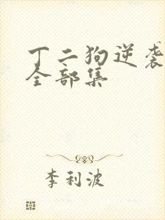 丁二狗逆袭人生全部集