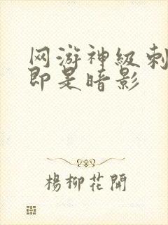 网游神级刺客我即是暗影