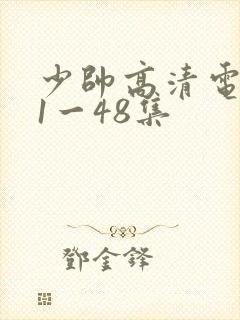 少帅高清电视剧1一48集