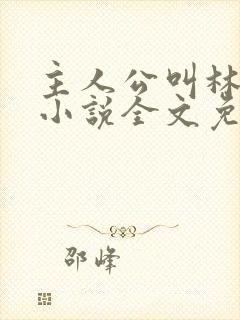 主人公叫林默的小说全文免费封面