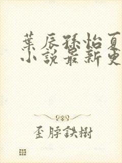 叶辰孙怡夏若雪小说最新更新