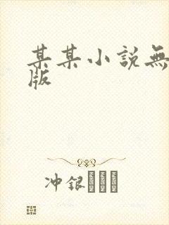 某某小说无删减版封面