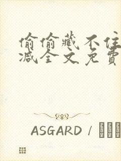 偷偷藏不住未删减全文免费阅读