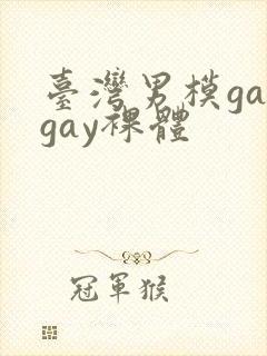 台湾男模gaygay裸体
