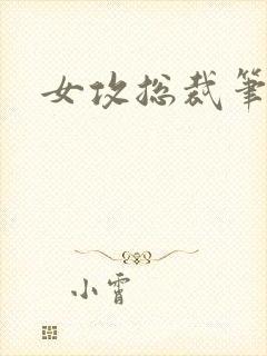 女攻总裁笔趣阁