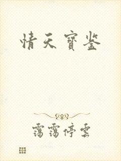 情天宝鉴封面