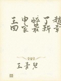 王申醉了赵振送回家最新章节免费阅