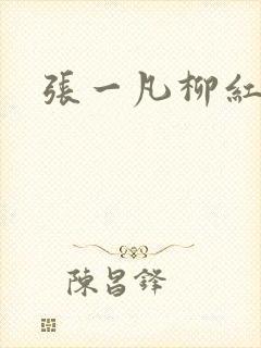 张一凡柳红