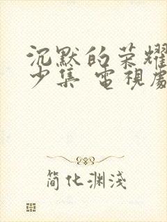 沉默的荣耀共多少集 电视剧免费观看封面