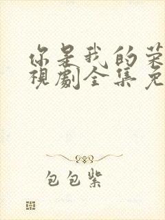 你是我的荣耀电视剧全集免费西瓜