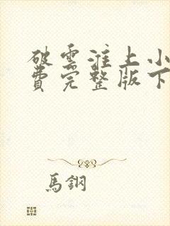 破云淮上小说免费完整版下载