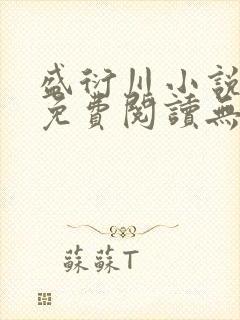 盛衍川小说全文免费阅读无弹窗封面