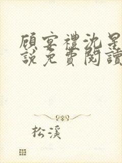 顾宴礼沈星洛小说免费阅读最新章节