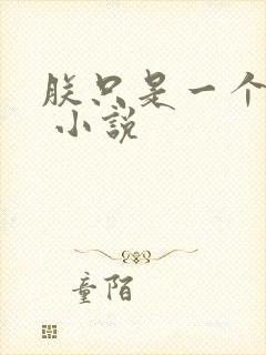 朕只是一个演员 小说