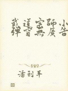 武道宗师小说无弹窗无广告