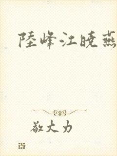 陆峰江晓燕封面