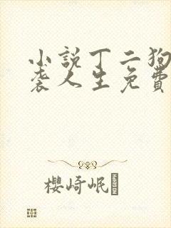 小说丁二狗的逆袭人生免费阅读