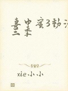 妻中蜜3动漫全三季
