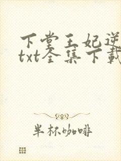 下堂王妃逆袭记txt全集下载