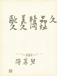 欧美精品久久久久久网址