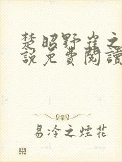 楚昭野崔之棠小说免费阅读最新章节封面