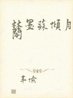 林墨苏倾月笔趣阁