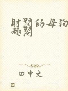 财阀的母狗们笔趣阁