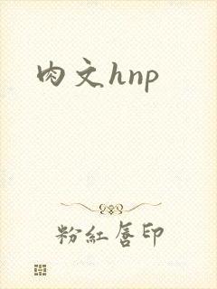 肉文hnp
