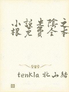 小说光阴之外耳根免费全本阅读