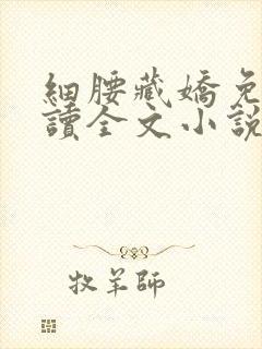 细腰藏娇免费阅读全文小说苏珞浅