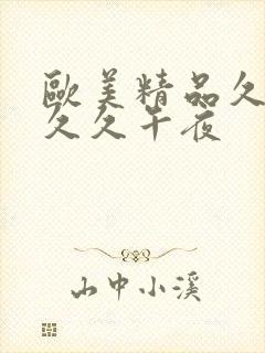 欧美精品久久久久久午夜