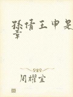 孙倩王申是第几章