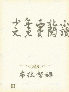 少年西北小说全文免费阅读无弹窗封面