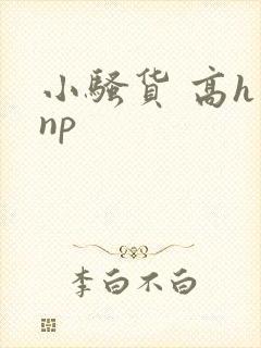 小骚货 高h np封面