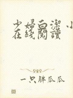 少妇白洁 小说在线阅读