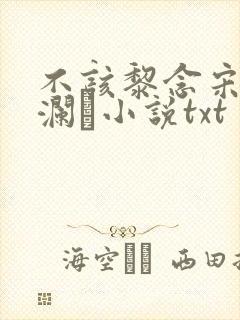 不该黎念宋祈然澜璘小说txt
