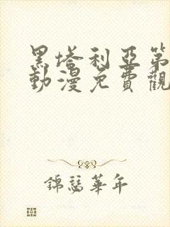 黑塔利亚第一季动漫免费观看封面