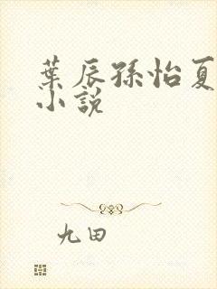 叶辰孙怡夏若雪小说