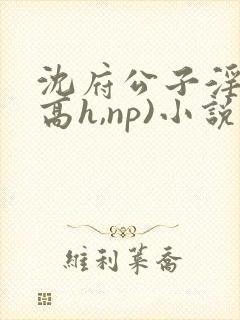 沈府公子淫史(高h,np)小说