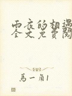 雨夜的相遇陈叔全文免费阅读全文封面