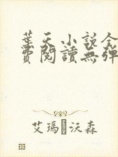 叶天小说全文免费阅读无弹窗